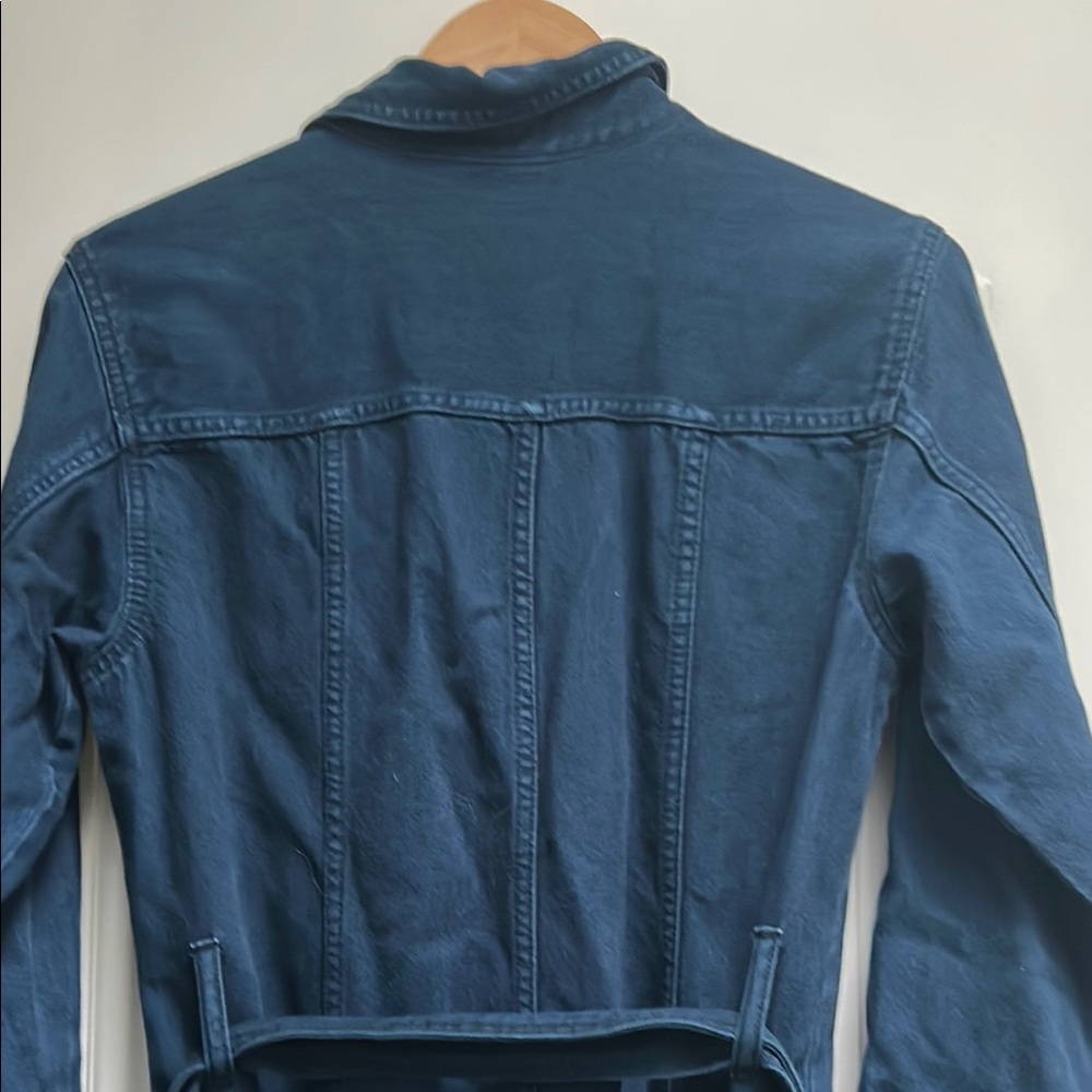 Banana Republic Blue Long Sleeve Notched Collar Jumpsuit - Picture 6 of 11